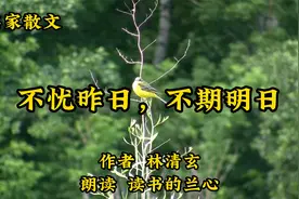 经典散文《不忧昨日，不期明日》，林清玄，留下年华中的美好时光视频封面
