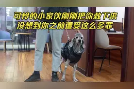 被拴多年的狗狗浑身抽搐，连夜带去检查，没想到狗狗遭受这么多罪视频封面