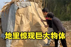 地里惊现黄色巨大物体，祖孙俩上前查看，吓得棍子都扔了撒腿就跑视频封面