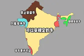 14种有趣方式划分地图解读印度，印度也有南北差异