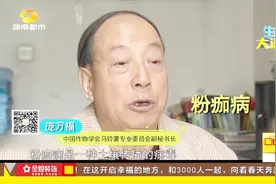 土豆表面全是斑？专家解释是土壤病毒导致，但内心变黑就不能食用视频封面