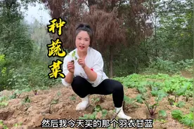 趁着天气还暖和，栽点羽衣甘蓝和菠菜，等段时间就有新鲜蔬菜吃啦视频封面