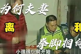 生活在一起十几年的夫妻为何大大出手视频封面