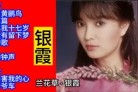银霞校园民谣精选12首联唱视频封面