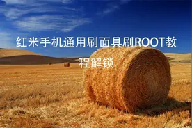 红米手机通用刷面具刷ROOT教程解锁【转载】