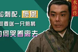 武松刺配，施恩为何要送一只熟鹅，又为何哭着离去视频封面