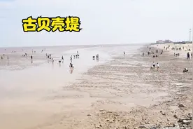 游古贝壳堤自然保护区视频封面