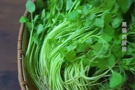 广东女人太会喝汤了，益母草煮汤好处一箩筐，看到可别错过视频封面