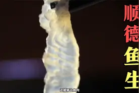顺德鱼生，淡水鱼直接刺身，从不担心寄生虫视频封面