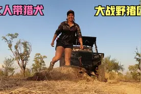 1个女人带1条猎犬狩猎，遭遇十几头野猪围攻，猎犬展示精湛技术