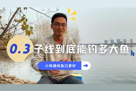 冬钓鲫鱼想爆护，优选小钩细线，所以0.3的子线到底能钓多大鱼？视频封面