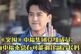 《突围》中福集团党组成员、上海中福秦总有可能调任副省长吗？视频封面