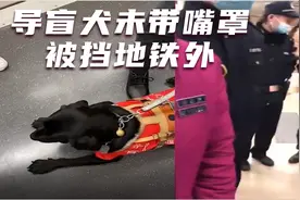 武汉：导盲犬未带嘴罩被挡地铁外，当事人：值班站长称是内部规定视频封面