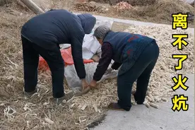 张家口农村老人离不了火炕，88岁大妈忙着弄柴火，看烧什么燃料？视频封面