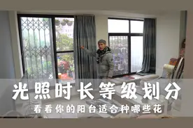 光照时长等级划分，看看你的阳台适合种哪些花