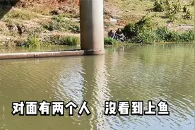 降温后第几天好钓鱼？这下没有疑问了吧！视频封面