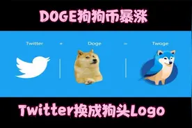 Dogecoin怎么了？！暴涨才开始， Elon把Twitter变狗狗！视频封面