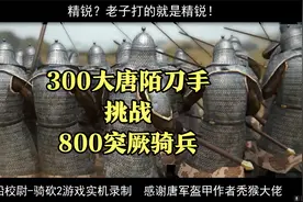 用300大唐陌刀手挑战800突厥骑兵！人马俱碎！视频封面