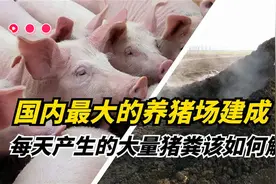 “假将军”董大维15行骗400万，因一句话露馅，他的下场如何视频封面