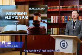叶兰：夫妻共同债务的司法审查与认定视频封面