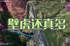 【永劫无间】决赛圈的现状，壁虎横行视频封面