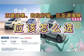 五菱缤果、欧拉好猫和比亚迪海豚   三款车型应该怎么选？