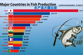 各大国鱼类产量对比，这国是全球第一大“吃货”视频封面