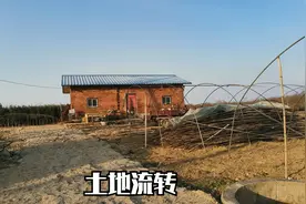 农村土地集体流转，村和小组该不该收管理费？汉中网友来信视频封面