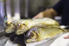 这种咸鱼被卫生部门禁止，可能致命味道也不好，但埃及人很爱吃视频封面