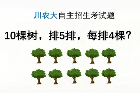 四川农大（双一流）自主招生考试题像是小学竞赛题！难度三颗星