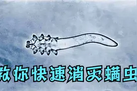 今天才知道，消灭螨虫还有这个小妙招，只需一分钟，就能全杀灭视频封面