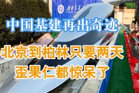 中国基建又创奇迹，北京至柏林只要两天，歪果仁震惊了视频封面