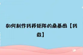如何制作转移矩阵的桑基图【转载】视频封面