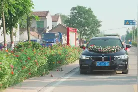 河南农村婚礼，新郎开宝马迎娶新娘，车队一路浩浩荡荡出发视频封面