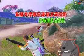 新版本度假岛最强武器搭配，恐怖无法想象！