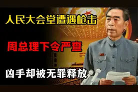 1966年,开国上将李达之子“枪击”人民大会堂,周总理如何处理?视频封面