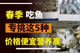 春天吃鱼：懂行的人专选这5种，都是深海鱼，便宜又营养