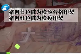 肉皮煮不烂 买到母猪肉？（2）视频封面