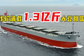 我轮从巴西满载1.3亿斤大豆回青岛，共计11600海里，全程记录视频封面