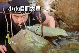 荒野捕鱼，小伙发明守株待兔抓鱼法，只需木棍和蝈蝈就能抓大鱼视频封面