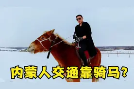 内蒙人天天骑马上学？牧场老板12匹马只卖了8万块，说起来也可惜