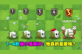 1-4阶棉小雪测评：攻击力不错，就是命中率感人！视频封面