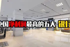 中国净利润最高的五大银行，建设银行垫底，农业银行仅排第三