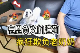 渣狗忘恩负义，家里就奶奶待它最好，可它却对奶奶最恶毒