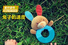 兔年说兔，兔子究竟能跑多快？博尔特跟它比比看视频封面