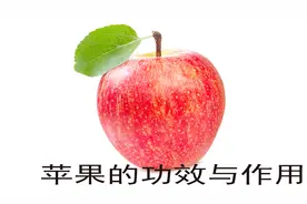 “一天一苹果医生远离我” 这句话是真的吗视频封面