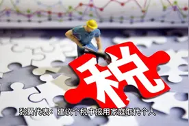 张翼代表：建议个税申报用家庭取代个人视频封面