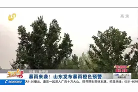 今年以来最强暴风雨要来了！山东多地迎强对流天气，阵风可达11级视频封面