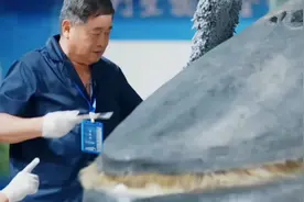 单霁翔清理的布氏鲸标本，可是国家一级保护动物，全长14米左右视频封面