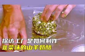 山羊奶酪是如何制作的？首先用手挤出山羊奶，然后再用机器操作！